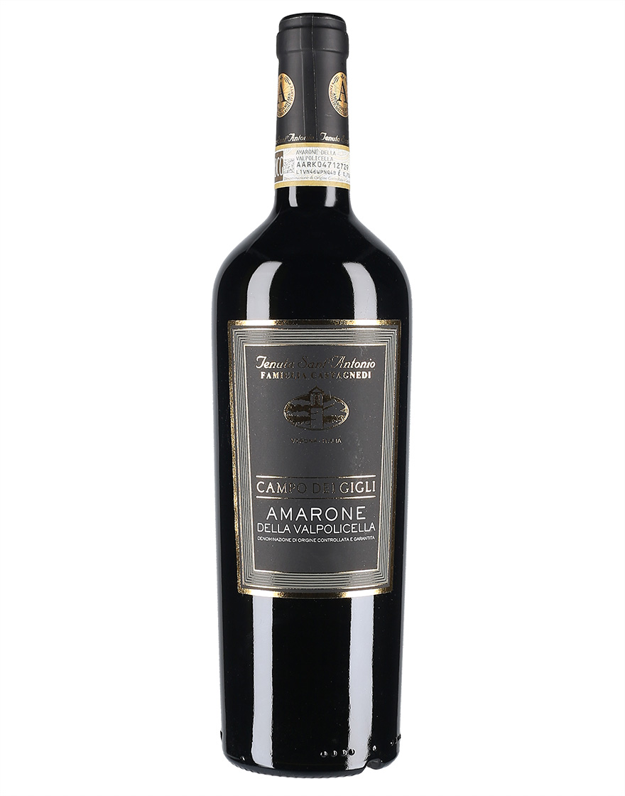Amarone della Valpolicella DOCG Campo dei Gigli 2017 Tenuta Sant'Antonio 0,75 ℓ