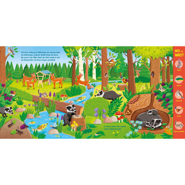 WO IST WAS? WAS WIMMELT IN WALD UND WIESE? - Kinderbuch