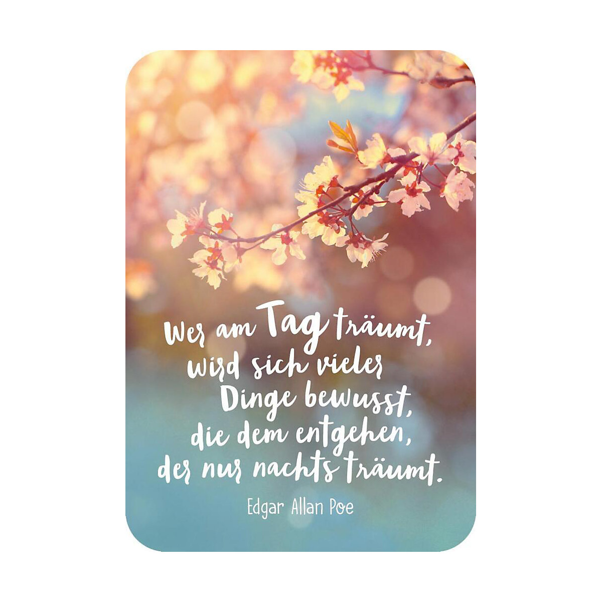 Schlaf gut! 50 Einschlafkärtchen für dich