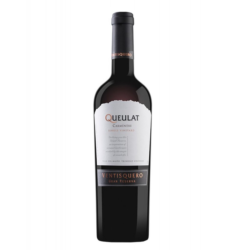 Ventisquero Carmenere 2019 Gran Reserva