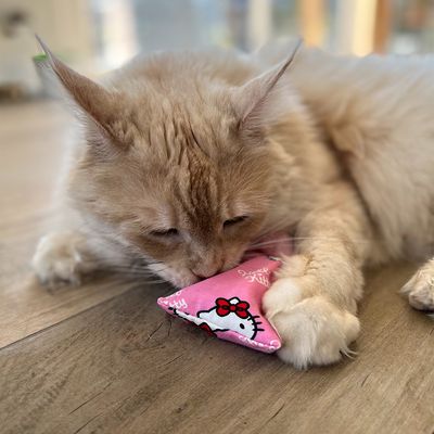 Aumüller Hello Kitty Katzenspielkissen
