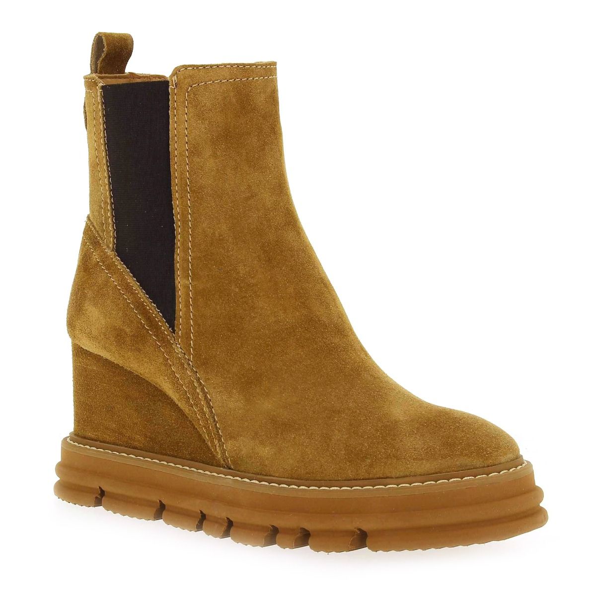 Alpe  2591 - camel