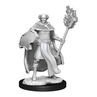D&D Nolzur's Marvelous Miniatures - Multiclass Cleric & Wizard Male