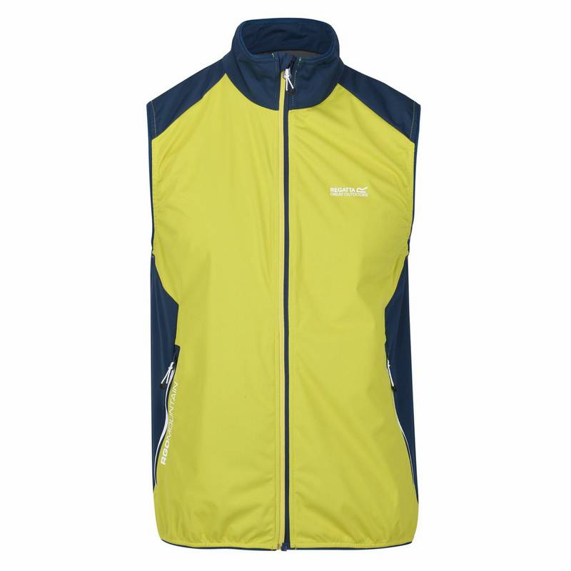 Regatta Lankin III Outdoorweste Herren