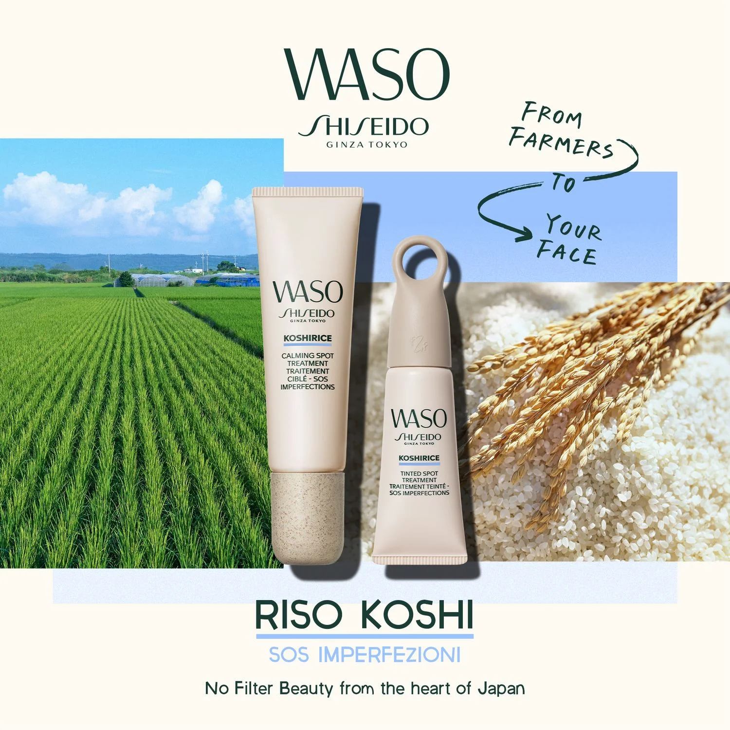 Waso KOSHIRICE Tinted Spot Treatment - Tratt.viso 24 ore antimperfezioni, Correttore, Tratt.viso 24 ore antimacchie