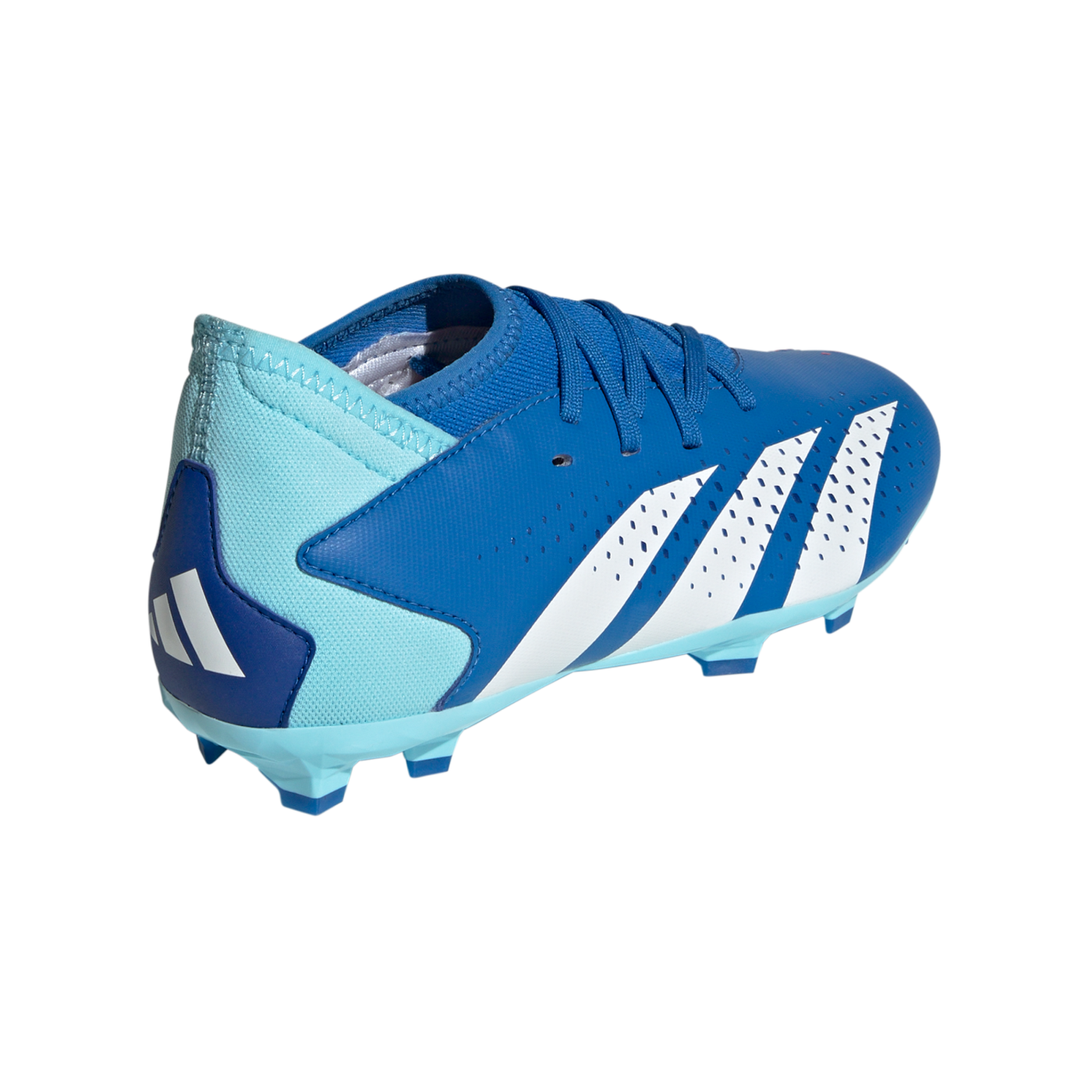 adidas Predator Accuracy.3 FG Kids Blau Weiss