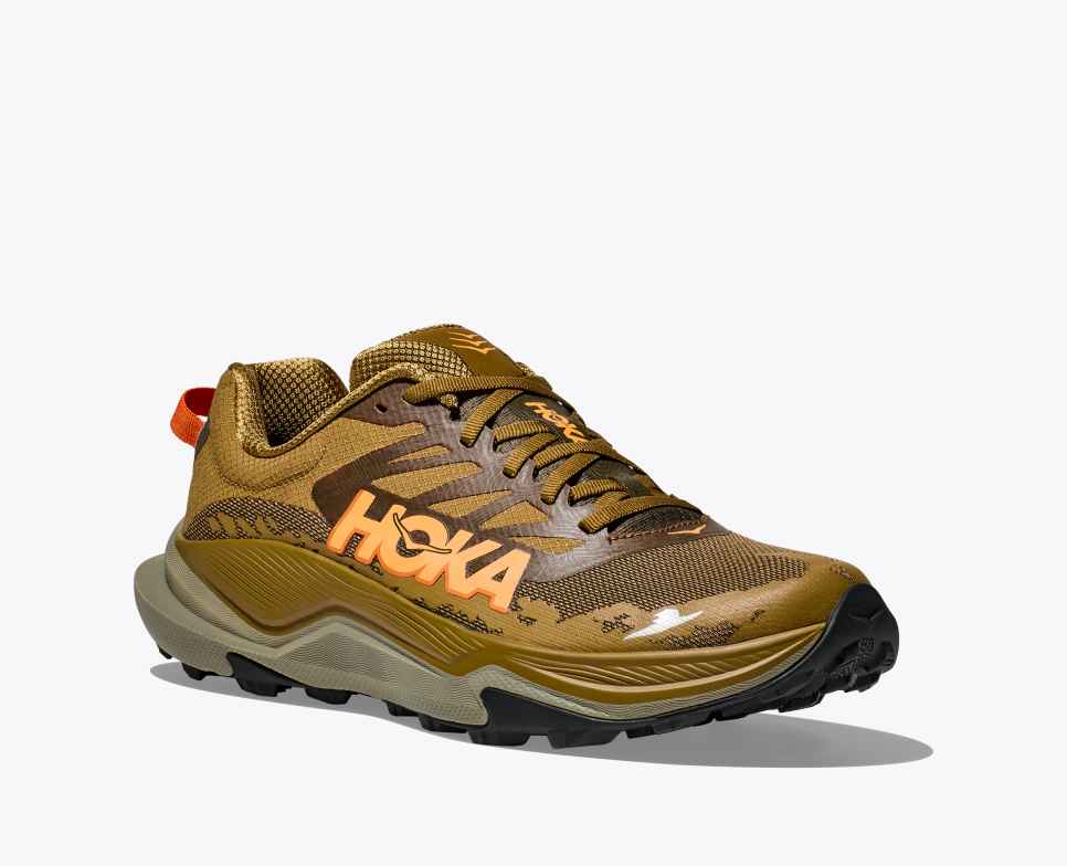 Torrent 4 Honey / Antique Olive