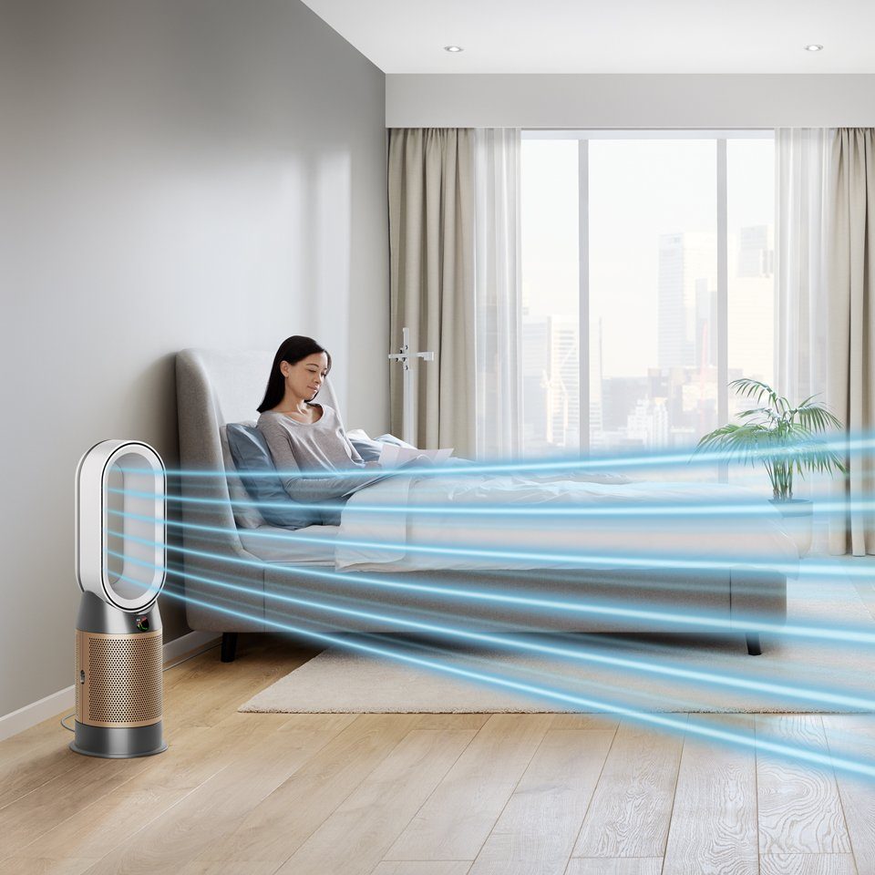 DYSON Heizlüfter Hot + Cool Formaldehyde HP09 Nickel/Gold