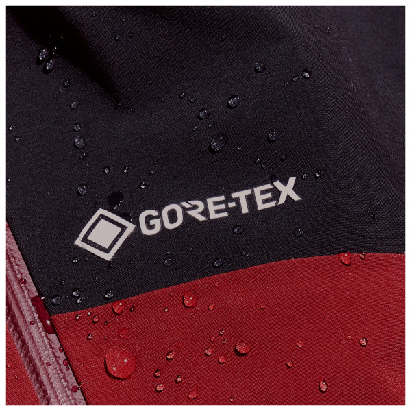 Berghaus - MTN Arete Descend GTX Jacket - Regenjacke