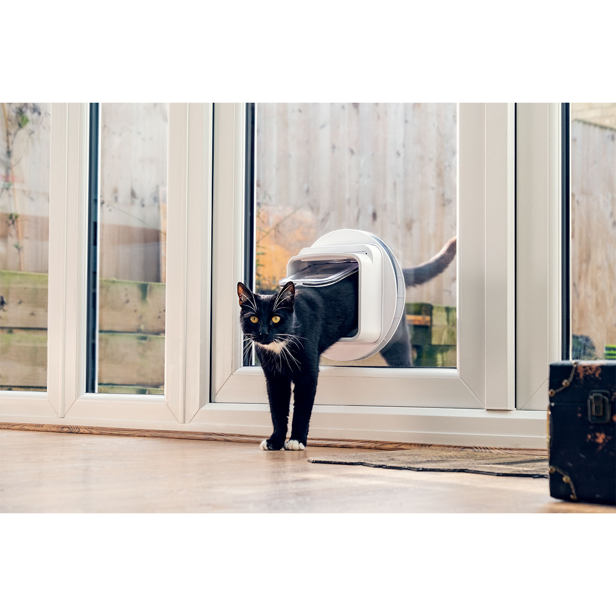 SureFlap Mikrochip Katzenklappe Connect + Hub kaufen