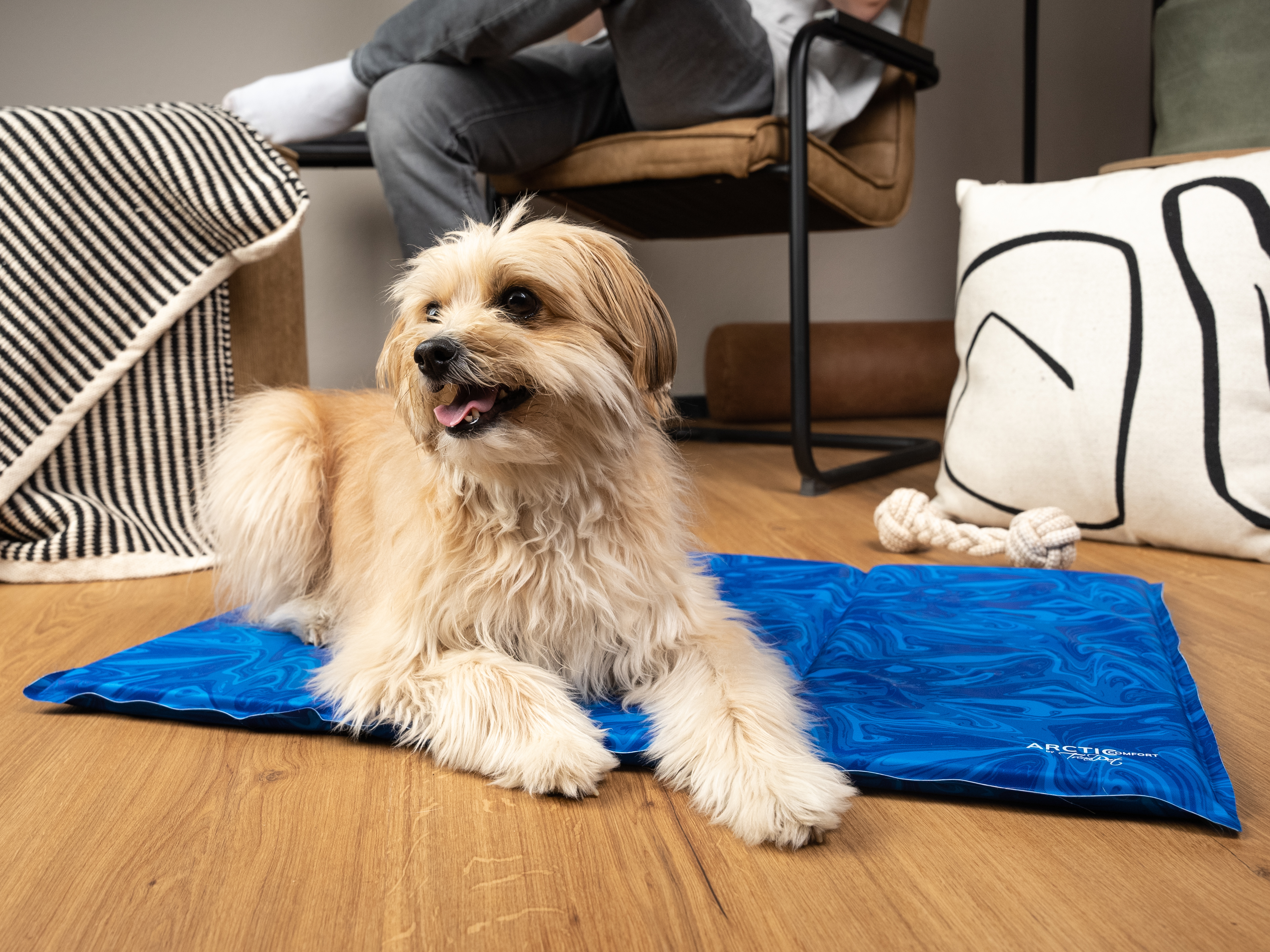 TrendPet Hundematten TrendPet Arctic Comfort 20 mm premium Kühlmatte blau M