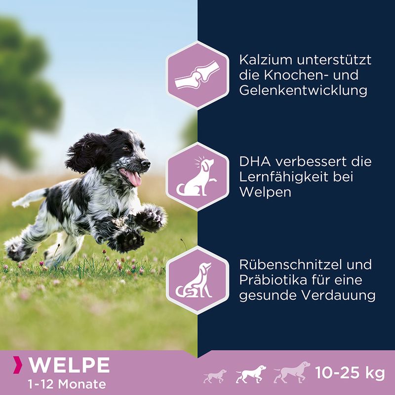 Eukanuba Puppy Medium Breed Huhn