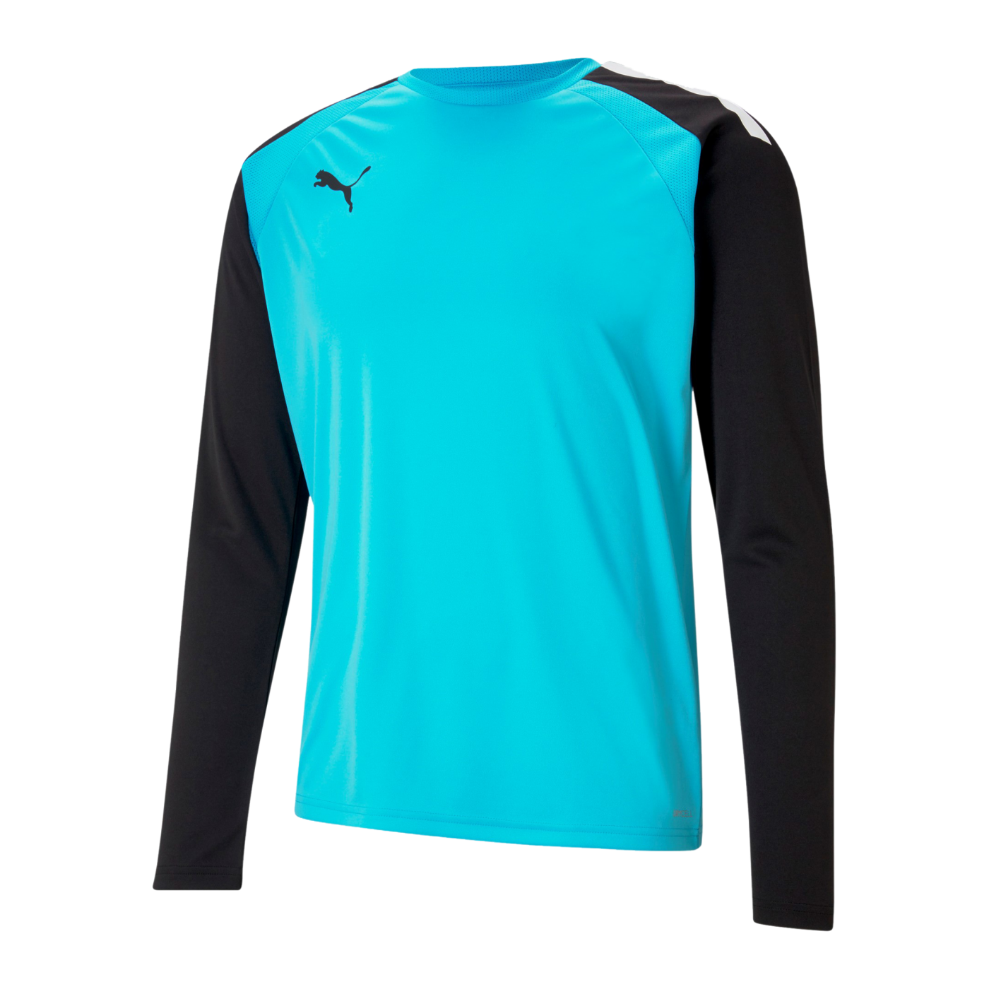 PUMA teamPACER Torwarttrikot langarm Blau F40