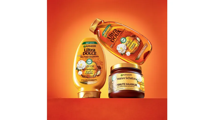 Garnier Wahre Schätze Haarkur Hair Remedy Argan Camelia 340 ml