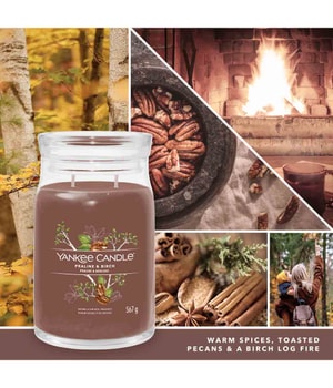 Yankee Candle Praline & Birch Duftkerze-368 g