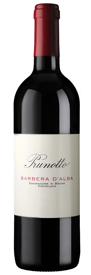 Barbera d'Alba 2021