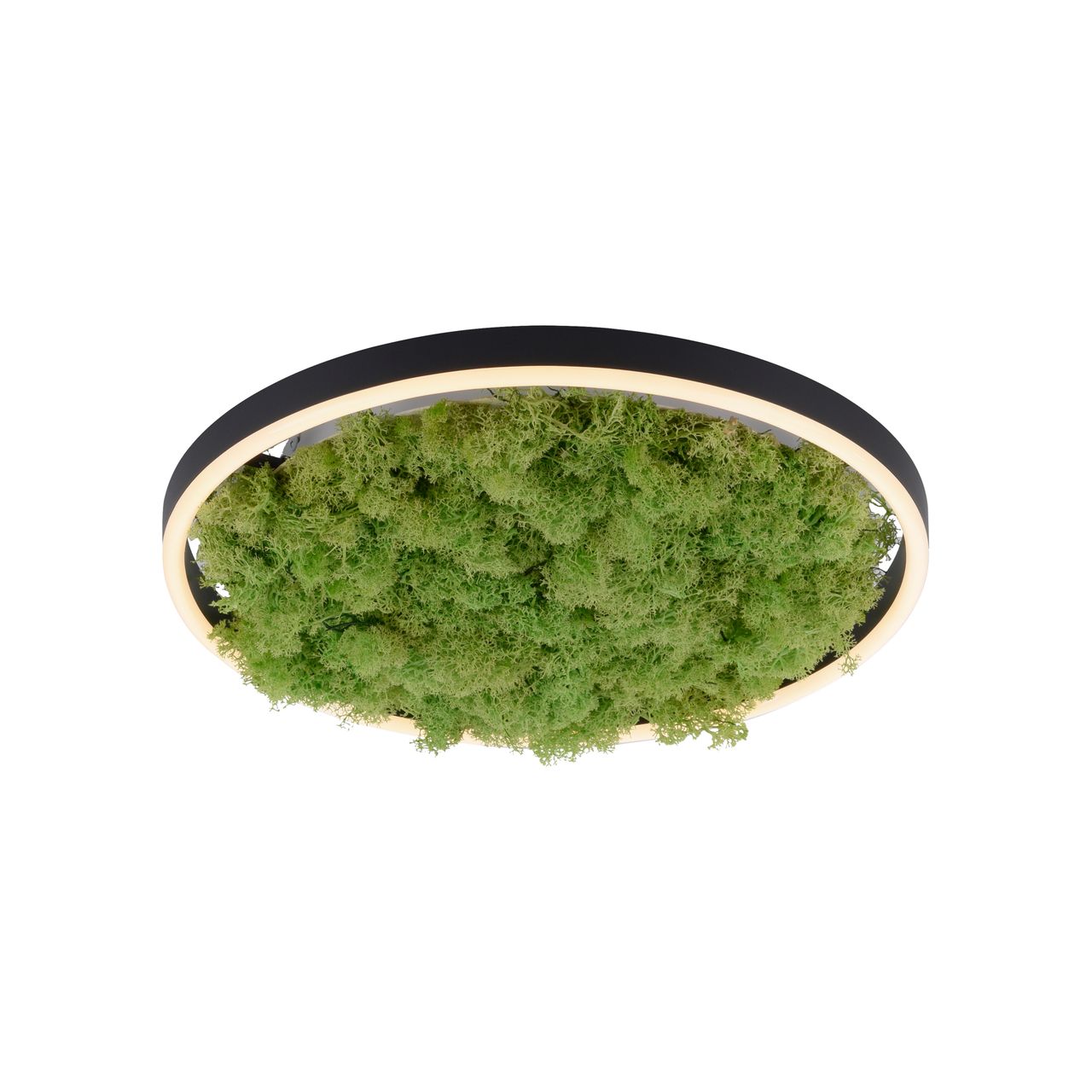JUST LIGHT LED Deckenleuchte GREEN RITUS, 3-Stufen-Dimmer, echtes Moos, Ø39,3cm