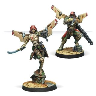 Bashi Bazouks