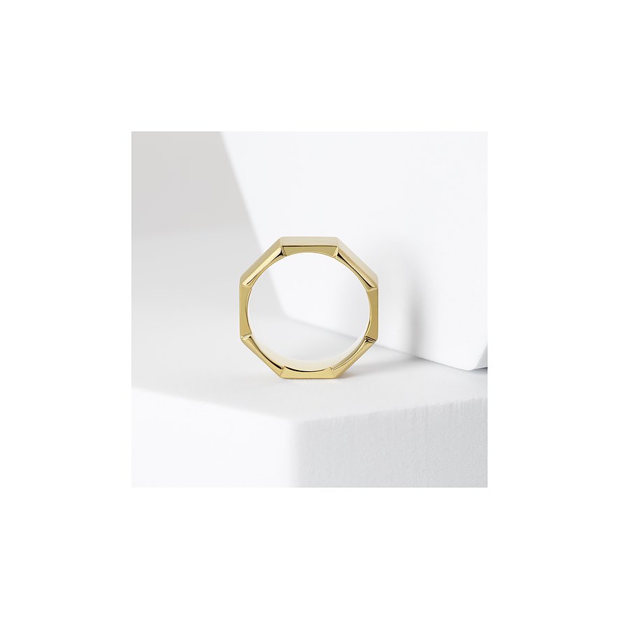 FAVS Herrenring