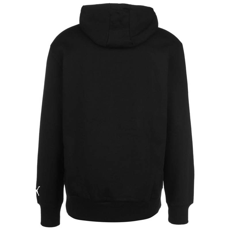 PUMA Graphic Booster Hoodie Herren