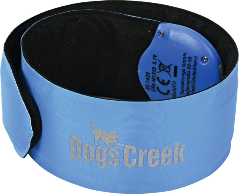 Dogs Creek Sicherheit im Dunkeln Dogs Creek Leuchtschnappband Atlas blau
