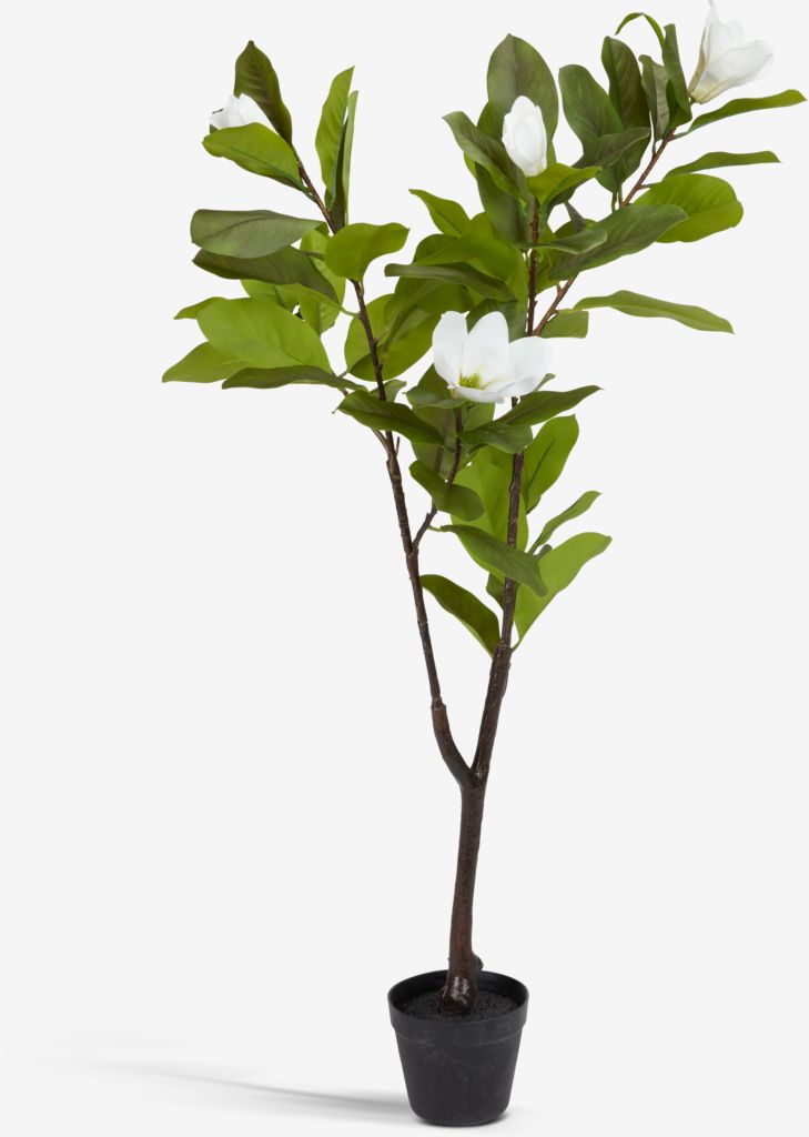 SPINDEL Kunstpflanze SPINDEL H120cm Magnolie
