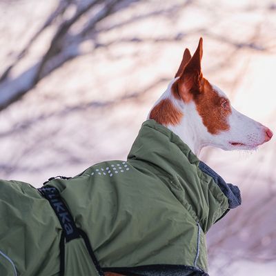 Rukka® Warmup Hundemantel, oliv