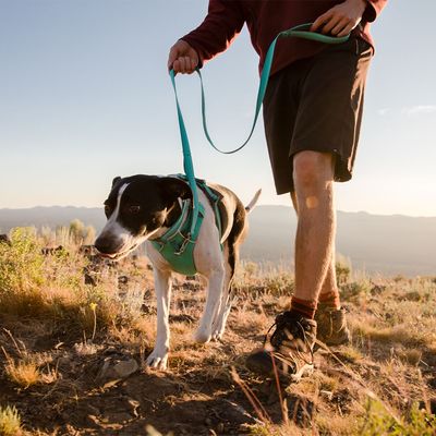 Ruffwear Front Range Hundegeschirr, Aurora Teal