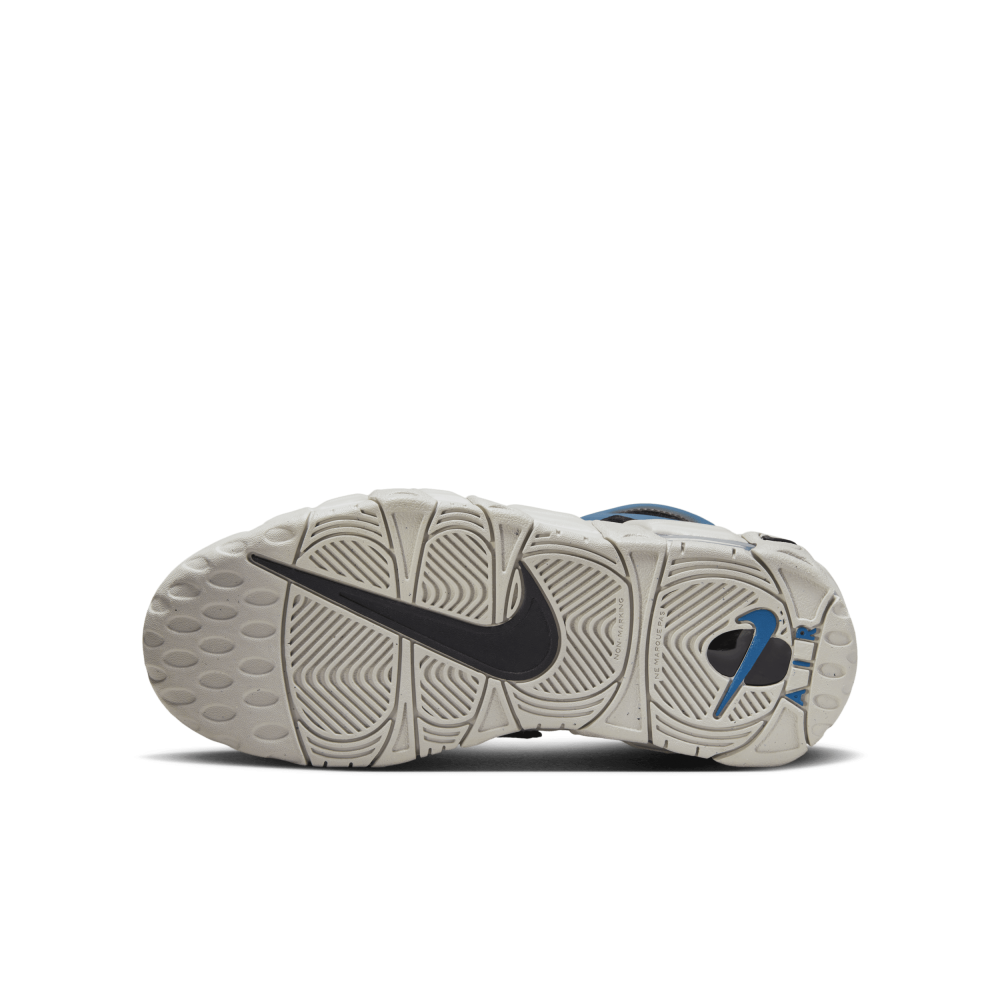 Nike Air More Uptempo FJ1387-001 / grau