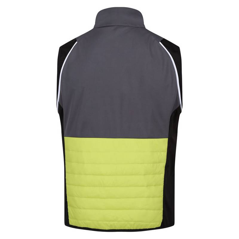 Regatta Steren Funktionsjacke Herren