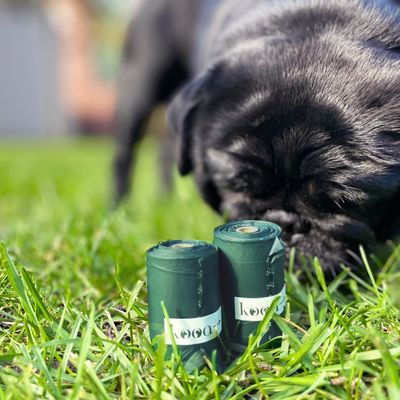 kooa Kompostierbare Hundekotbeutel