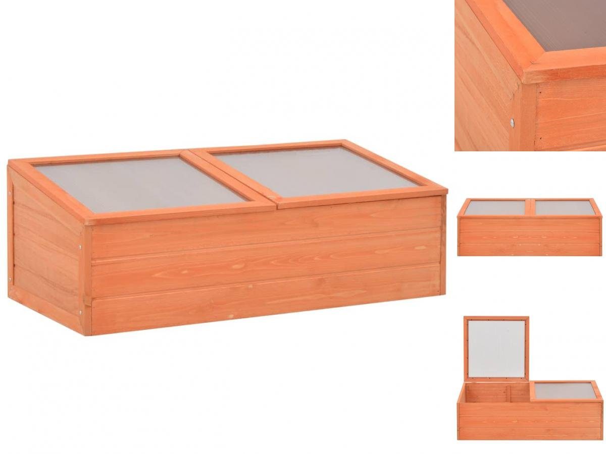 vidaXL Gewächshaus Anzucht Blumen Obst Gemüse Gewächshaus Holz 100x50x34 cm