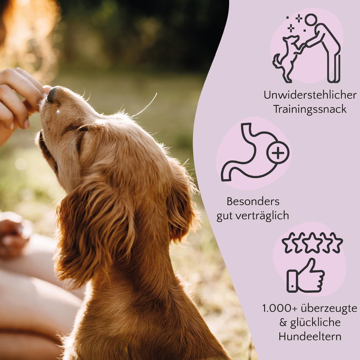 FAVLY Petfood Snacks FAVLY Petfood PURE Bites Ente 360 g
