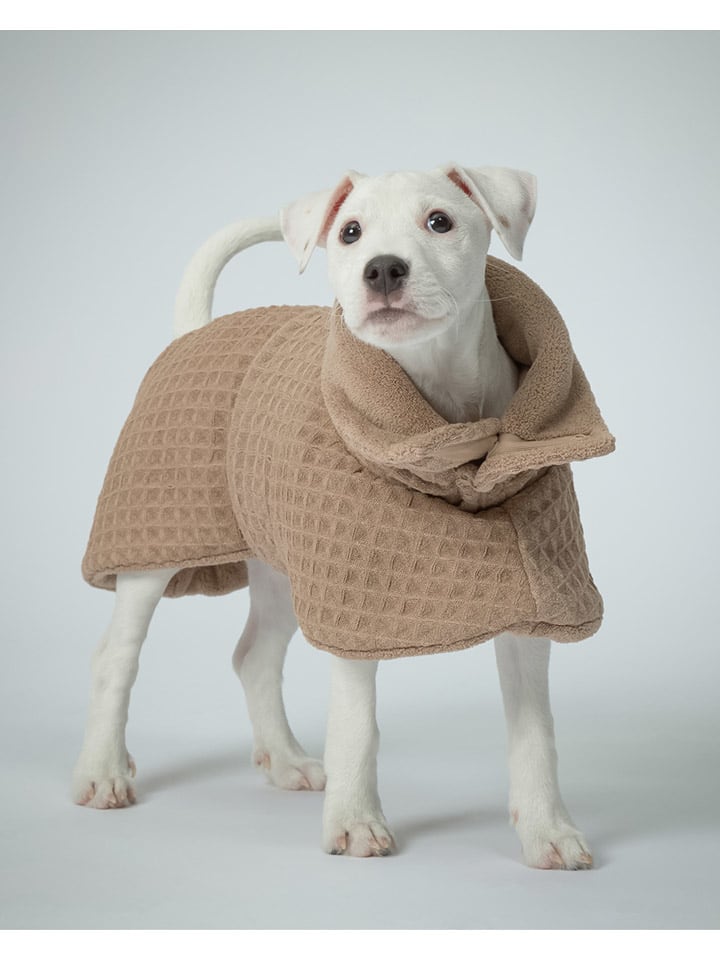 Paikka Hunde-Trockenmantel in Beige günstig kaufen