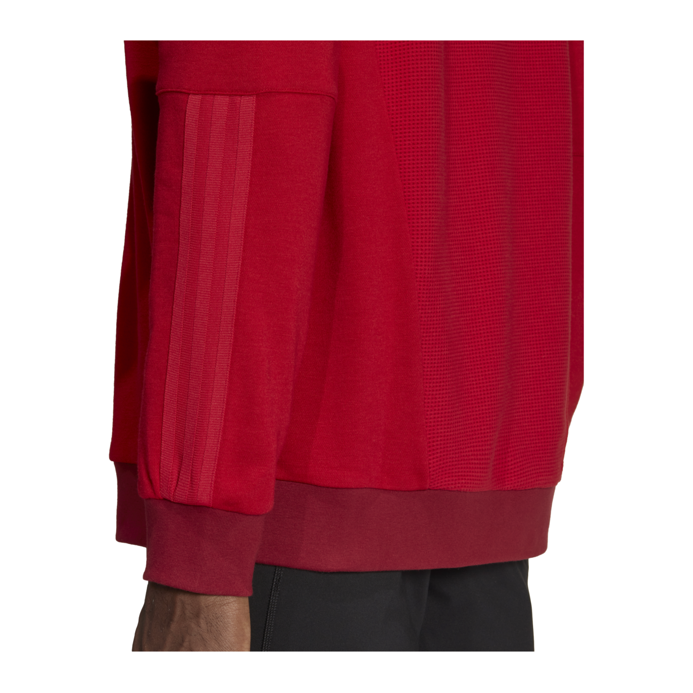adidas Tiro 23 Competition Sweatshirt Rot