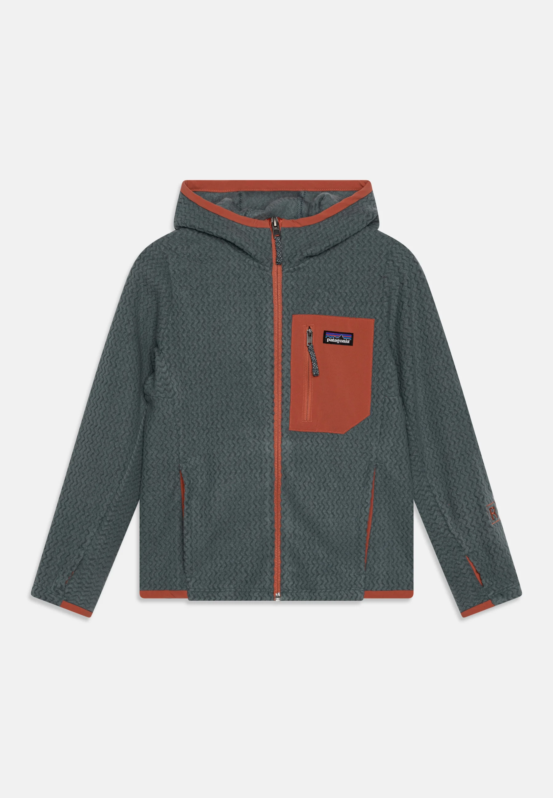 Patagonia AIR FULL-ZIP HOODY UNISEX - Chaqueta polar
