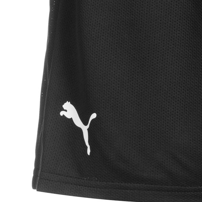 PUMA Hoops Team Practice Basketball-Shorts Herren
