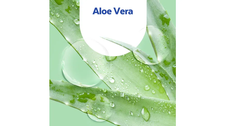 Sagrotan Sagrotan Handseife Nachfueller Aloe Vera 500ml 500 ml