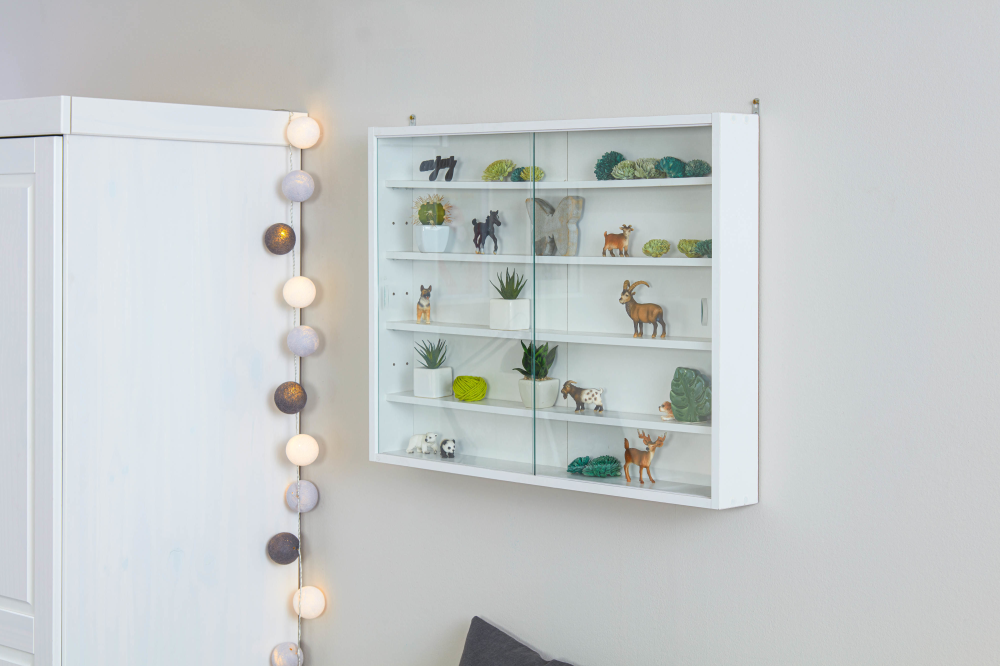 Sammlervitrine Collecty