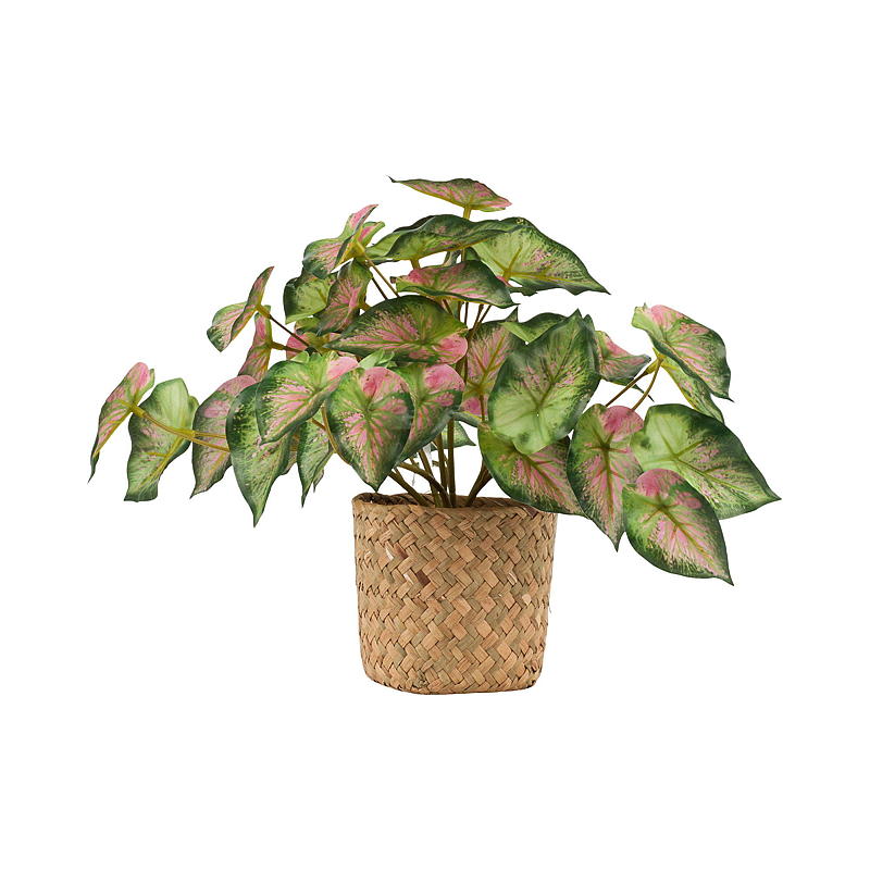 Home Grønnplante 25 cm m/kurv