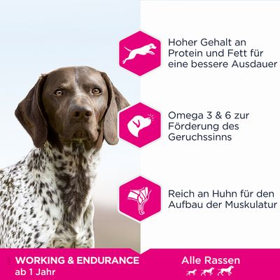 Eukanuba Daily Care Working & Endurance Adult Dog