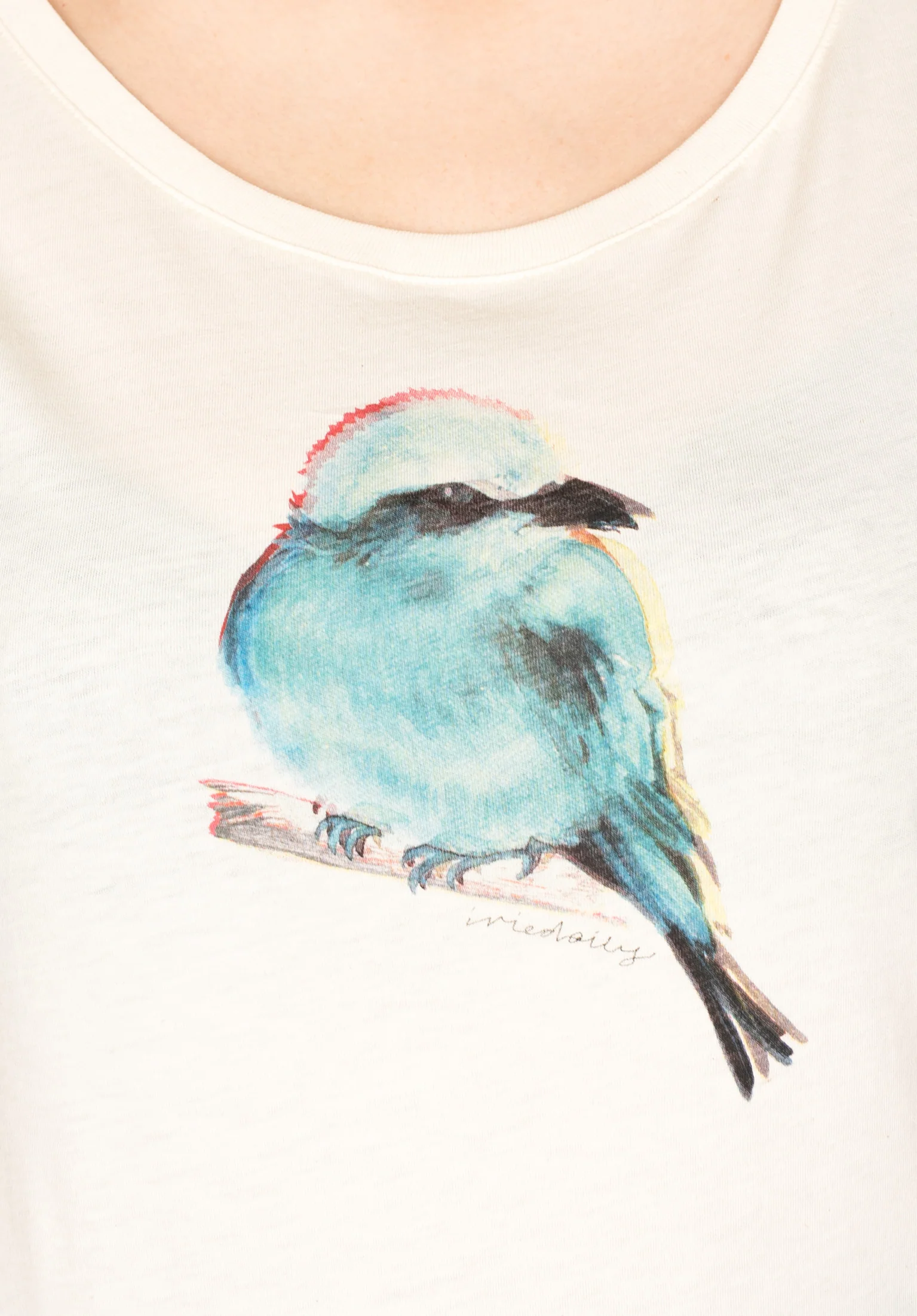 Bluebirdy