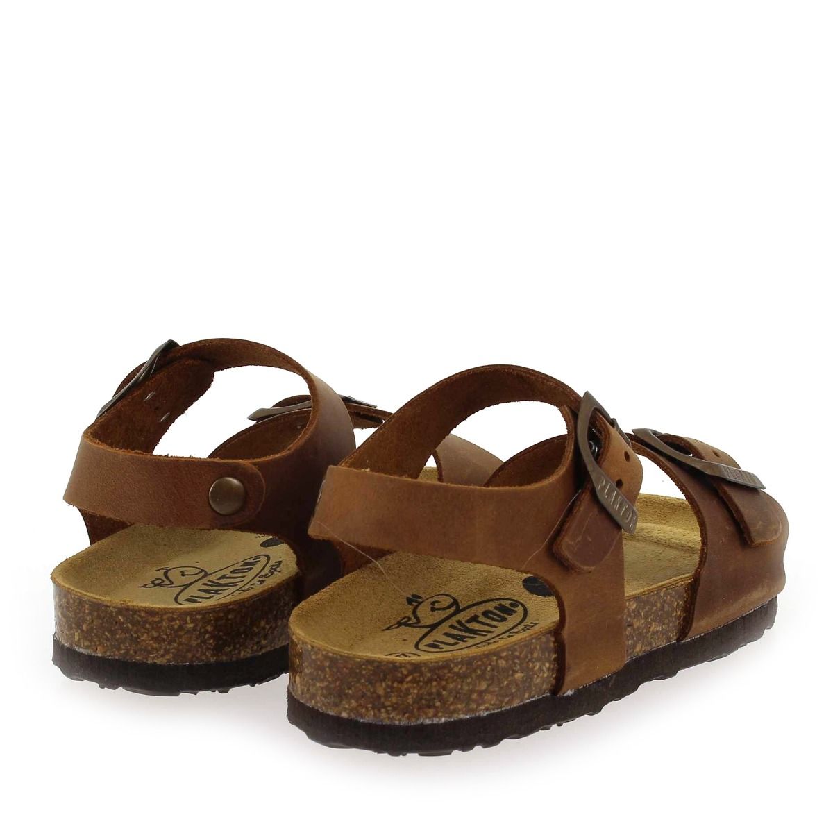 Plakton  LOUIS - Marron