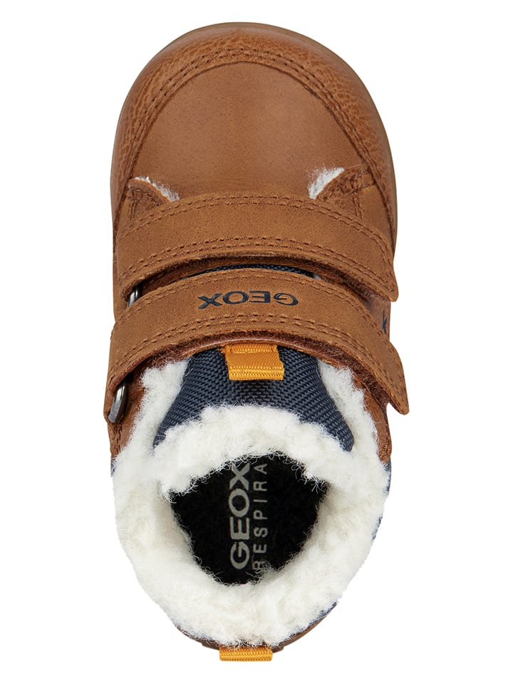 Geox Sneakers 