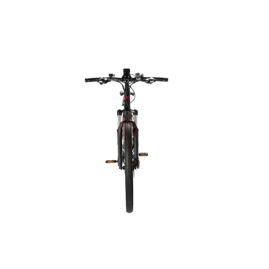 E-Bike Pedelec Anyway E200, von Wayscral - ATU