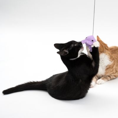 TIAKI Katzenangel Squishy