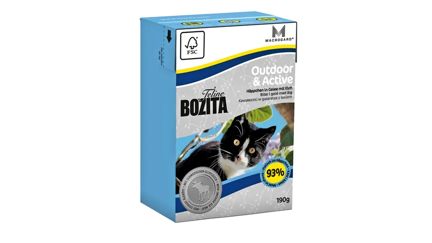 BOZITA Katzennassfutter Feline Tetra Recart Outdoor & Active 190 g