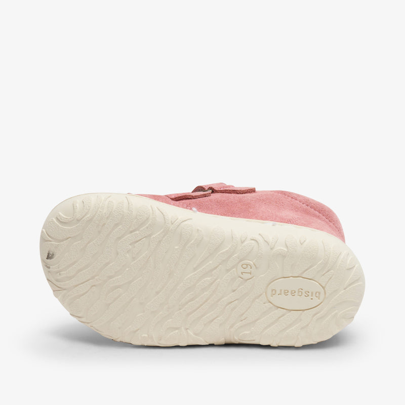 hale v blush - Rose