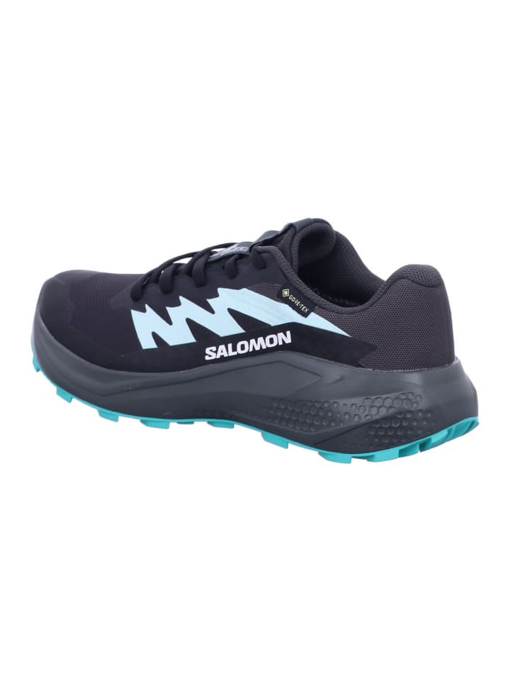 SALOMON Wanderschuhe ALPHAGLIDE GTX W in Grau günstig kaufen