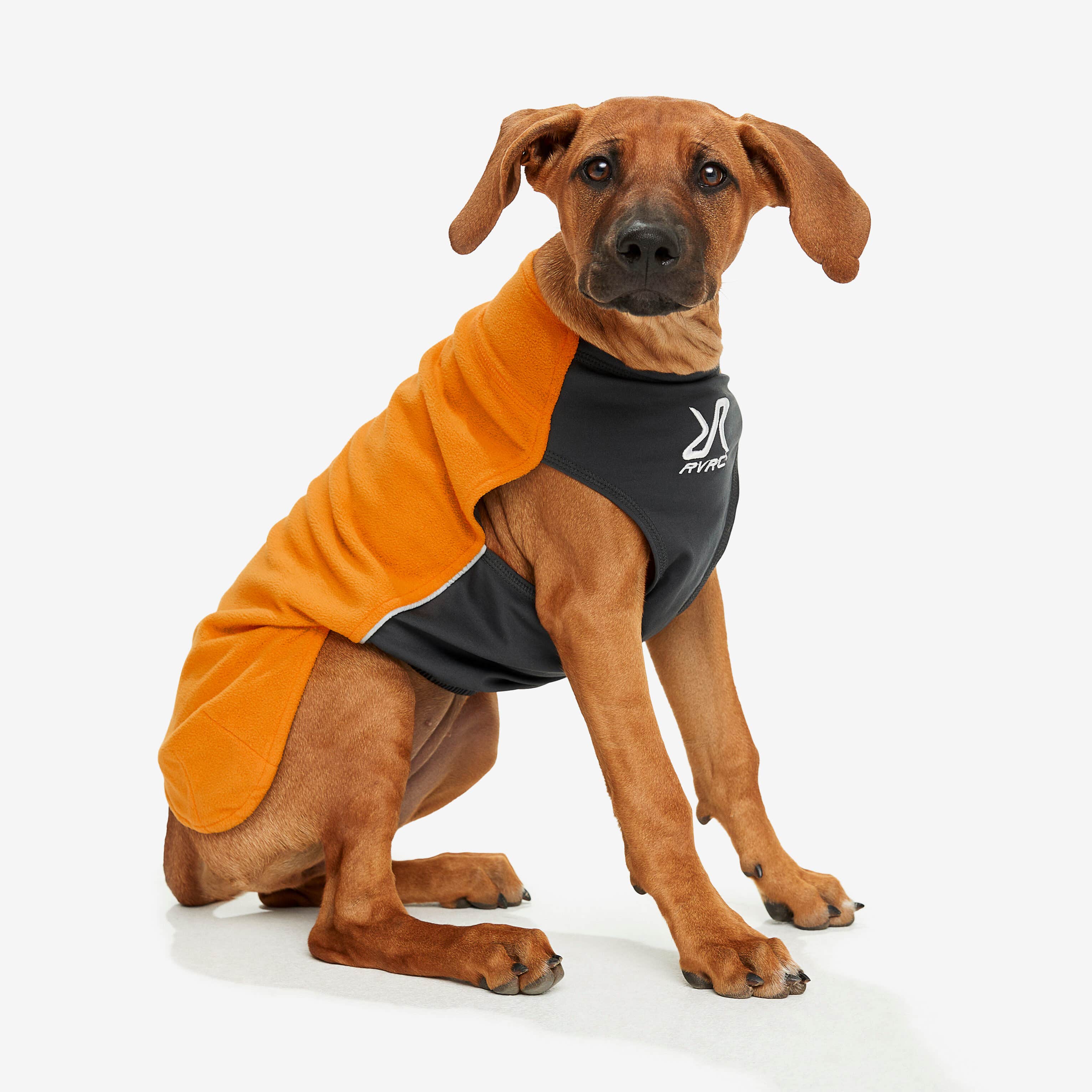 Trekker Fleece Chien Radiant Yellow